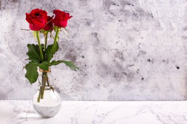 Cam vazoda gri desenli duvara karşı kırmızı renkli yaz gülleri olan bir arka plan. Seçici odaklanma. Durgun hayat. Metin için yer
