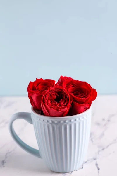 Light blue cup and  red roses flowers  in it on white marble background against blue wall. Selective focus. Place for text.