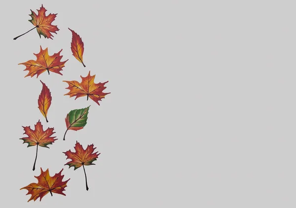 Beyaz Arka Planda Sonbahar Yaprakları Mesaj Için Yer Var Sezon — Stok fotoğraf
