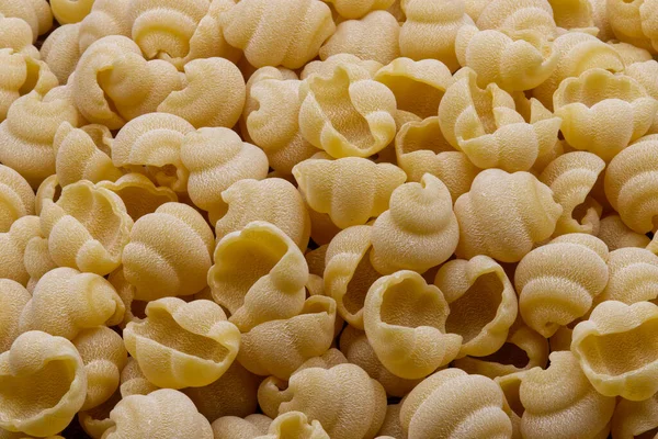 Raw Italian Gnocchi Napoletani Pasta Background — Stock Photo, Image