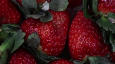 Döner vaziyette taze olgun lezzetli çilekler. Yakın plan. Üst Manzara. Video 4K.