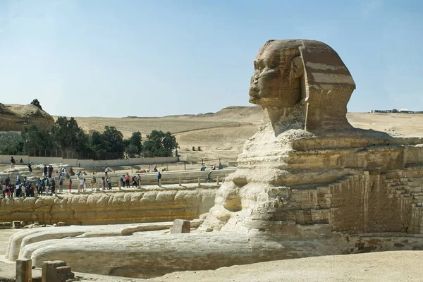 开罗附近吉萨高原的大狮身人面像埃及 — 图库照片