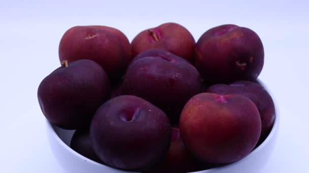 Fresh Plums Bowl Isolated White Background — Stock Video