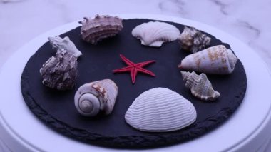 Bir turntable üzerinde dönen çeşitli kabuk koleksiyonu.