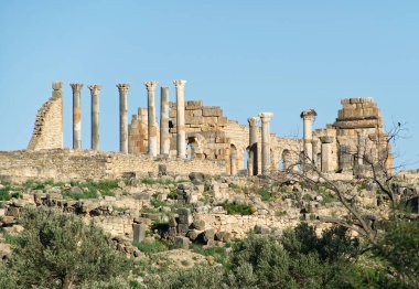 Volubilis antik Roma kalıntılarının tarihi yeri. Fas, Afrika.
