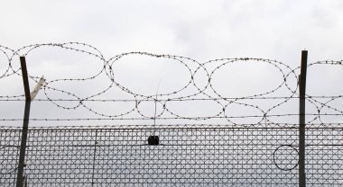 Dikenli tel beyaz arkaplanda izole edildi