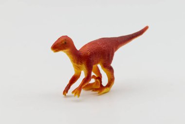 Velociraptor beyaz arka planda izole edildi. Tarih Öncesi Hayvanlar.
