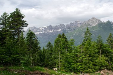 Görkemli Fai della Paganella dağlarının manzarası mavi gökyüzünün altında yükseliyor. Brenta Dolomitleri, Trentino, İtalya.