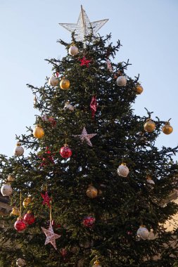 Bolonya - İtalya - 29 Aralık 2022: Bologna 'nın ana meydanındaki büyük Noel ağacı.