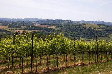 Serravalle Kalesi 'nin yakınındaki Valsamoggia kırsalının manzarası. Bologna. İtalya.
