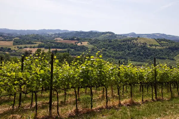 Serravalle Kalesi 'nin yakınındaki Valsamoggia kırsalının manzarası. Bologna. İtalya.
