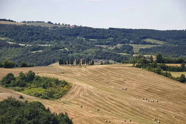 Serravalle Kalesi 'nin yakınındaki Valsamoggia kırsalının manzarası. Bologna. İtalya.