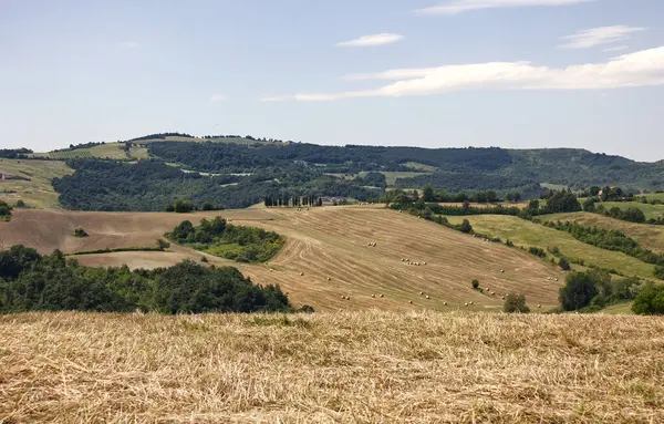 Serravalle Kalesi 'nin yakınındaki Valsamoggia kırsalının manzarası. Bologna. İtalya.