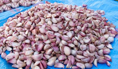 Fas 'ta kalabalık bir pazarda sergilenen büyük bir yığın taze pembe ve beyaz sarımsak karanfili..