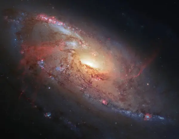 Spiral galaxy M 106 NGC 4258 in constellation Canes Venatici.