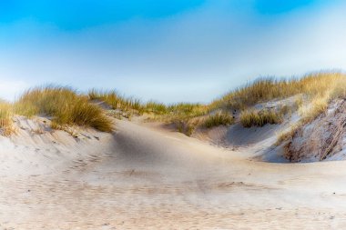 Dune landscape on the Danish North Sea coast - soft focus clipart