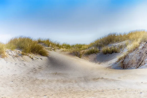 Danimarka Kuzey Denizi Kıyısındaki Kumul Manzarası Yumuşak Odak — Stok fotoğraf