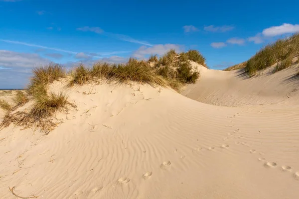 ローマのデンマーク北海の島の砂丘 — ストック写真