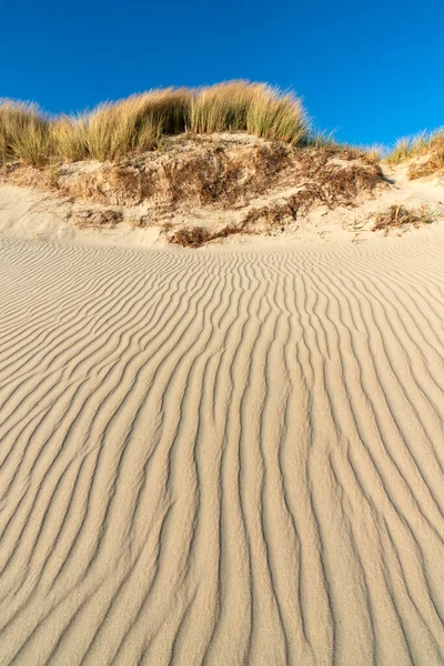 砂丘の草 風によって形成された砂の中の波 デンマーク北海沿岸の砂丘風景 — ストック写真