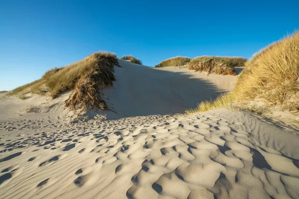 Kum Tepesindeki Çimler Rüzgarın Oluşturduğu Kumdaki Dalgalar Danimarka Kuzey Denizi — Stok fotoğraf