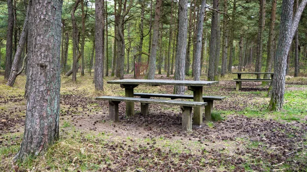 Odpočívadlo Lesích Dánsku — Stock fotografie