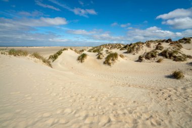 Sand dunes on the North Sea coast of Denmark on the island Romo. clipart