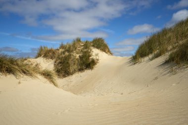 Danimarka 'nın Romo adasındaki kumul manzarası
