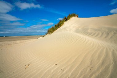 The dune landscape on the Danish island of Romo clipart