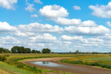 Kuzey Almanya 'da Elbe' nin kurak kolları