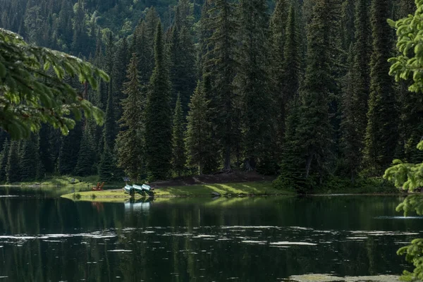 Kanada 'daki British Columbia' da ada gölünde yürüyüş.