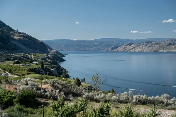 View on lake and vineyard in Summerland in Canada on a sunny day