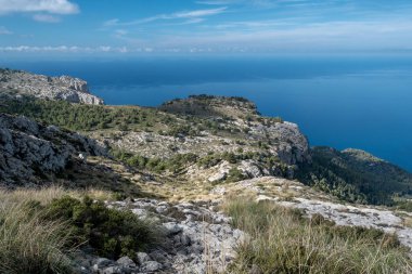 Coastline landscape in Mallorca with blue sea and rock