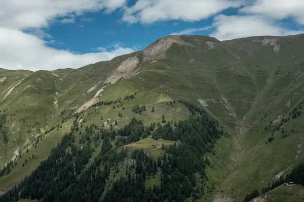 İsviçre 'de yaz mevsiminde Alp dağının yeşil yamaçları