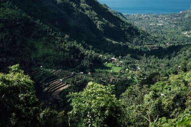 Bali 'de Amed' in arkasındaki pirinç teraslarında güzel ışık ve gölge etkisi