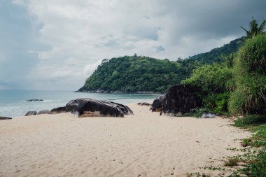 Malezya 'daki Tioman adasının kıyı şeridi boyunca güzel bir sahil.