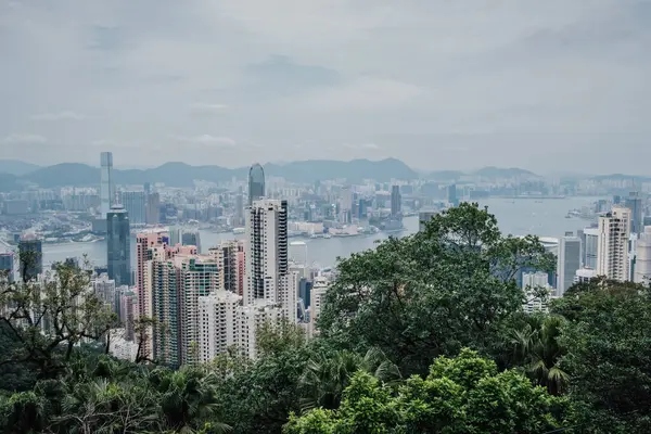 Bulutlu bir günde Hong Kong 'un gökdelenleri ormandan yükseliyor.