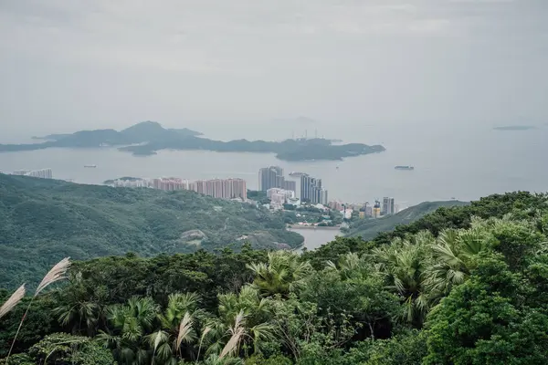 Hong Kong 'daki Victoria zirvesinden bir kıyı şeridi ve adalar manzarası.