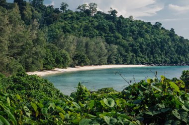 Malezya 'daki bitki örtüsünün üzerinde beyaz bir kumsal gözlemlemek