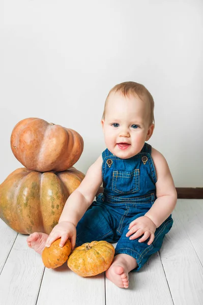 Handsome baby in denim overalls and pumpkin. Complementary feeding of children, first autumn of toddler, Halloween, food allergies