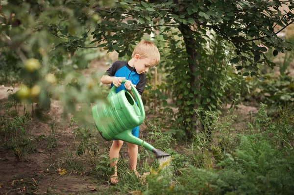 Petit Garçon Arrosage Jardin Avec Arrosoir Développement Estival Des Enfants — Photo