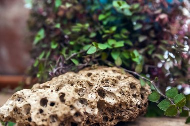 Kozmetik ürünlerinin güzelliği için doğal podyum taşları ve yaprakları. Seçici odak