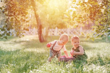 İki çocuk bebek ve sonbahar elma hasadı. Çocuk çocuk ve olgun kırmızı elma sepeti bahçeye yakın plan ve boşluğu kopyala.
