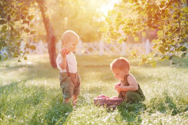 İki çocuk bebek ve sonbahar elma hasadı. Çocuk çocuk ve olgun kırmızı elma sepeti bahçeye yakın plan ve boşluğu kopyala.