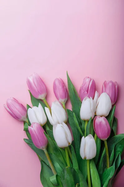 ชมพ และส ขาวบนพ นหล ชมพ และพ าเนา วยก บดอกไม างเปล — ภาพถ่ายสต็อก
