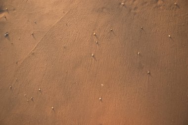 Deniz kumu dokusuna yakın çekim. Yaz mevsimi.