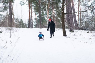 Baba ve oğul kışın kızak kayıyor..