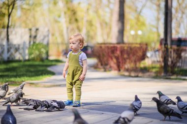 Sunny Park 'ta Güvercinler Arasında Yürüyen Bebek