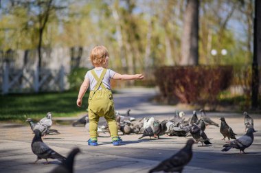 Sunny Park 'ta Güvercinler Arasında Yürüyen Bebek