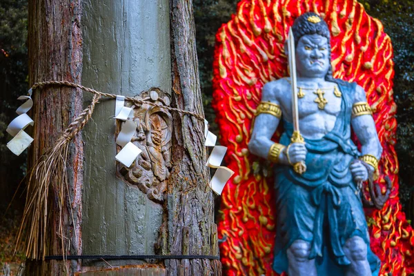 Cèdre Survécu Coup Foudre Avec Une Gravure Dieu Kaminari Temple — Photo