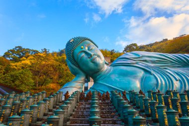 Fukuoka 'daki Nanzoin Tapınağı, dünyanın en büyük bronz heykeli olduğunu iddia eden Yaslanan Buda' nın (Nehanzo) dev heykeline ev sahipliği yapmaktadır..